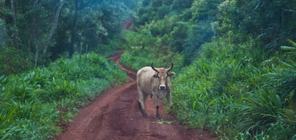 Photo of Misiones