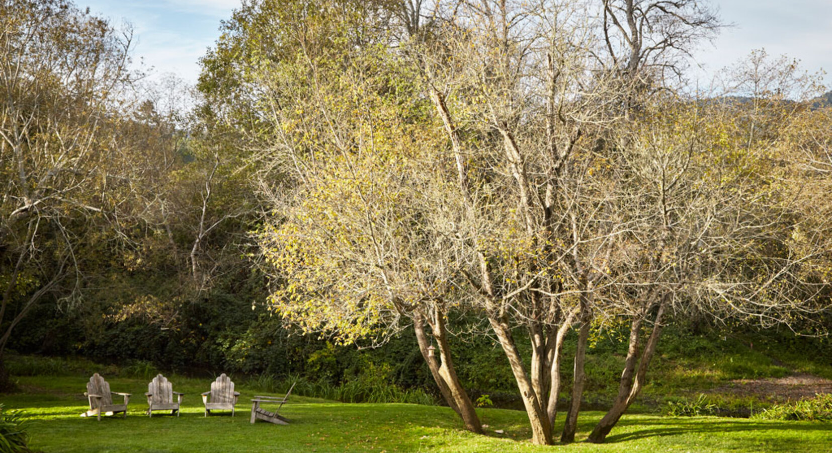 Olema House Gardens