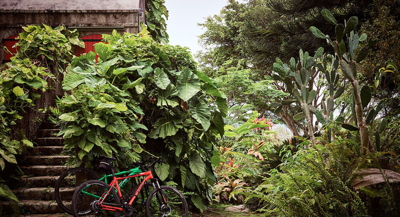 Tropical Gardens