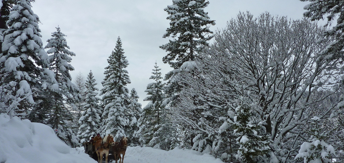 Photo of Seefeld