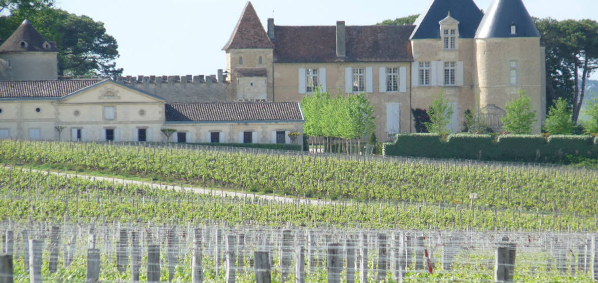 Photo of Sauternes