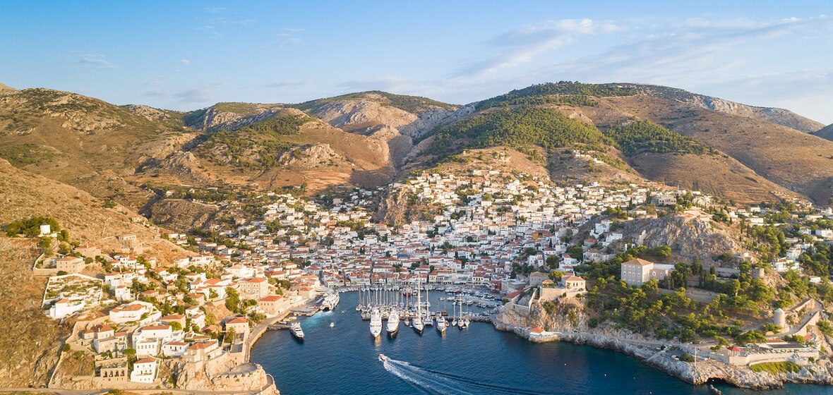 Photo of Hydra