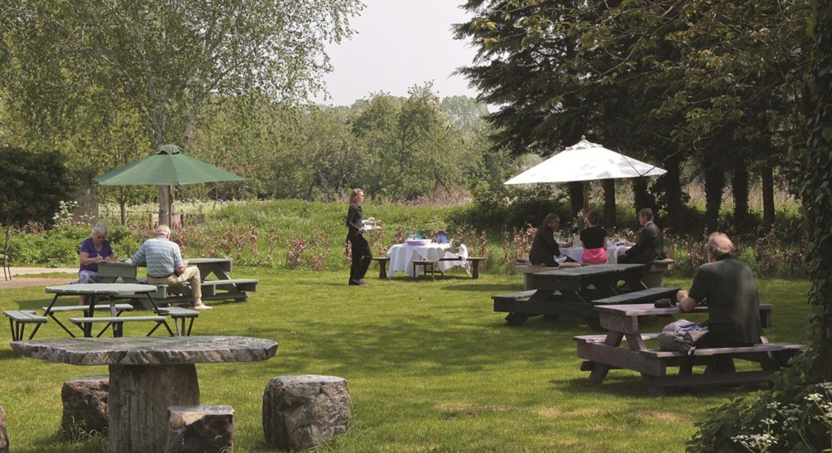 Dining in the garden