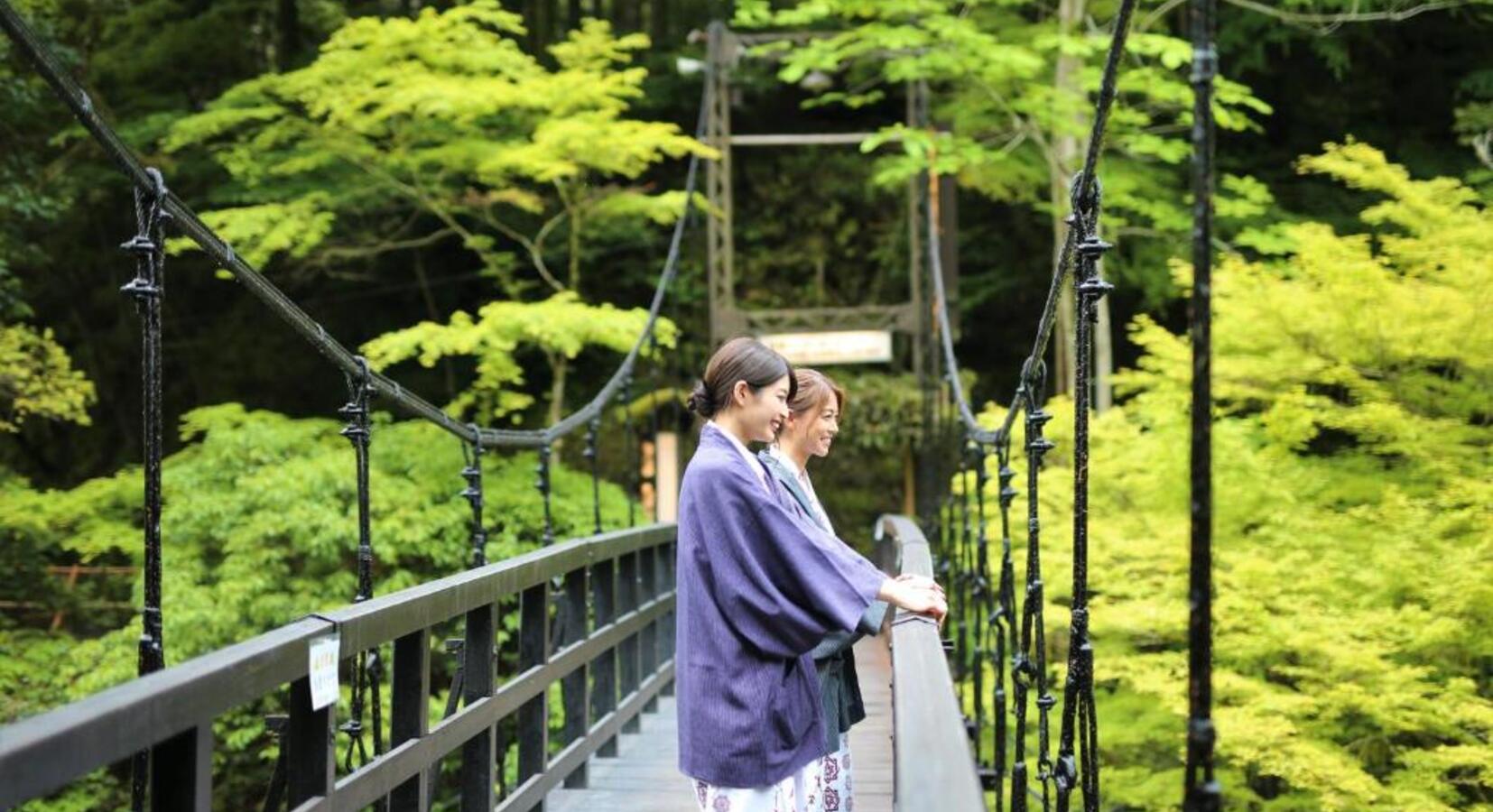 Tree Walkway