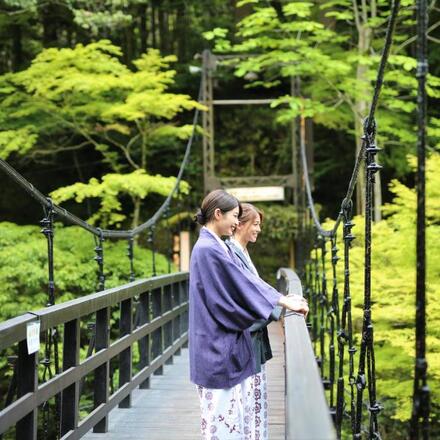 Tree Walkway