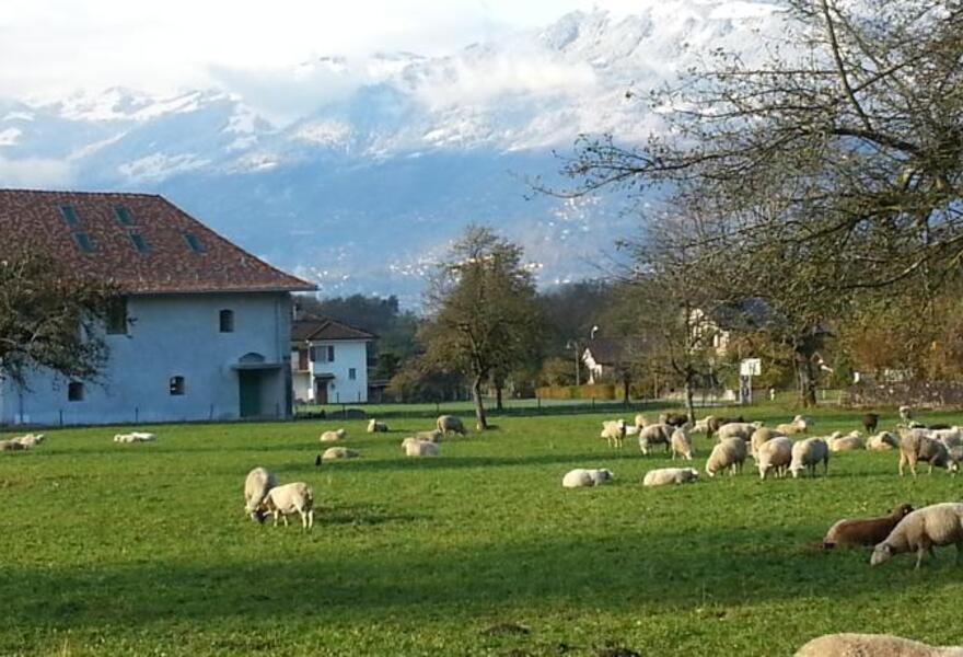 La Maison du Directeur