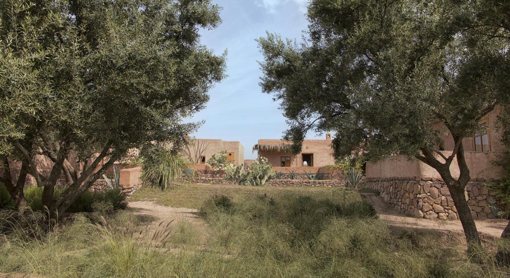 Gardens and olive groves