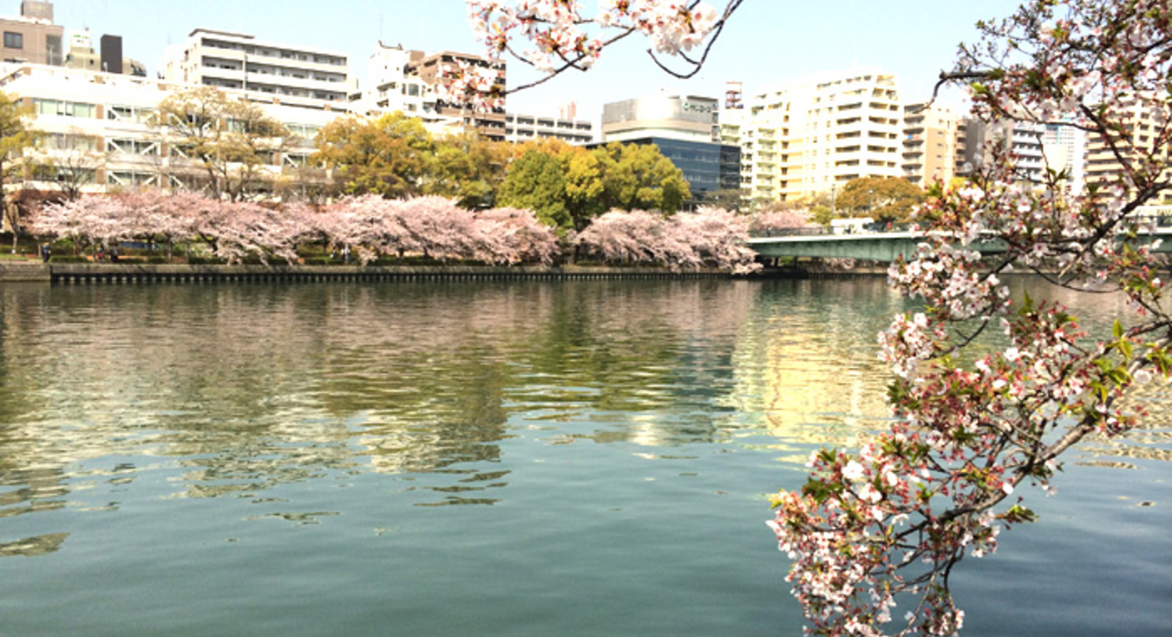 Photo de Imperial Hotel Osaka 