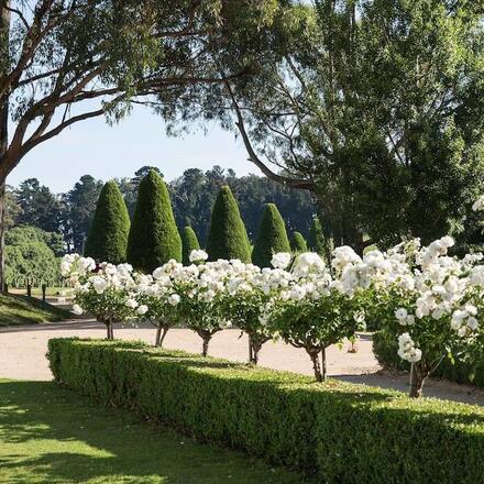 Landscaped Gardens