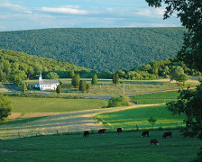 Pennsylvania