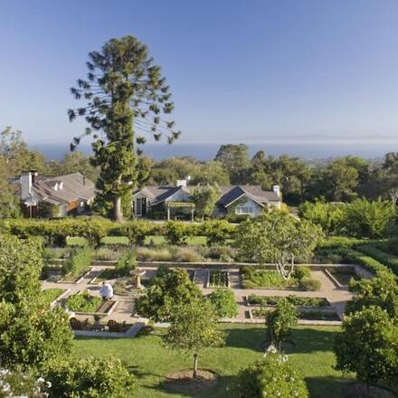 Vegetable Garden