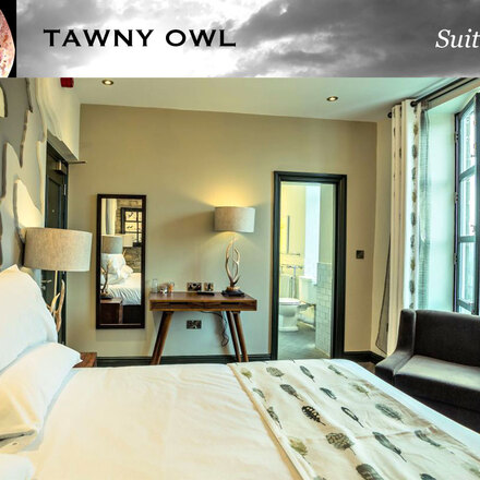 Tawny Owl Suite