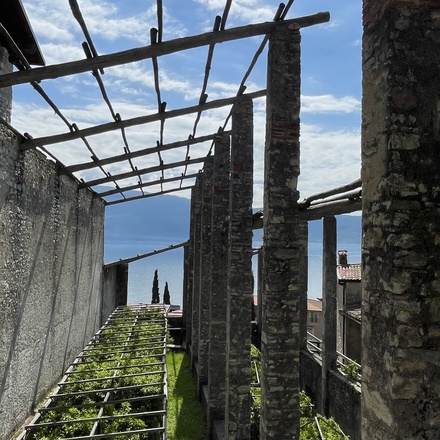 Visit of an historic limonaia (lemon garden) during a guided 