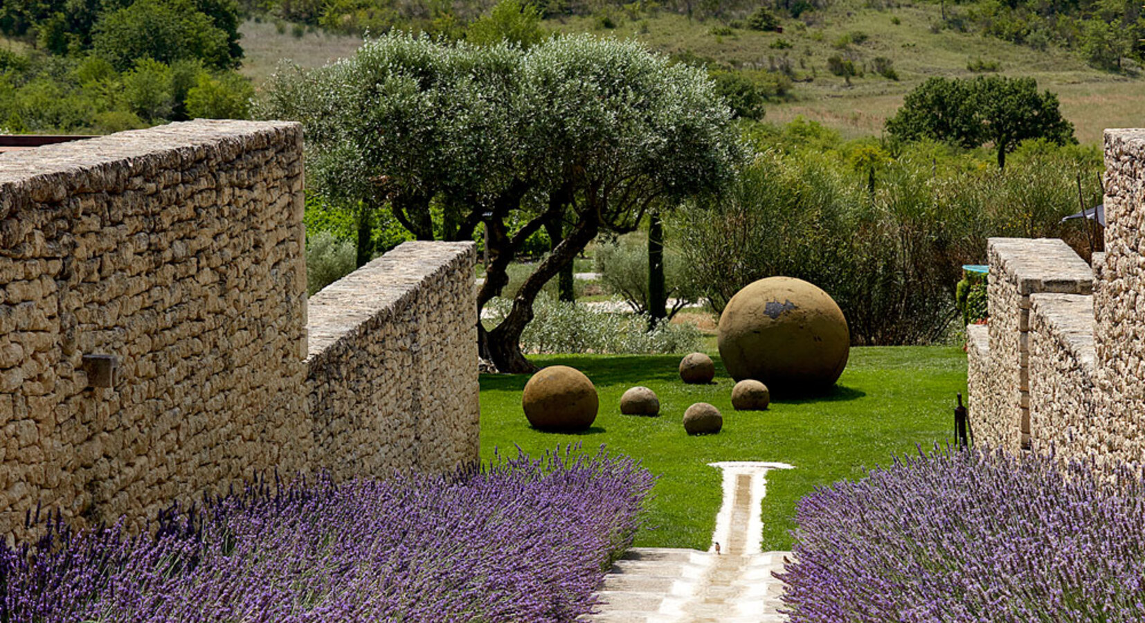 Lavender  Garden