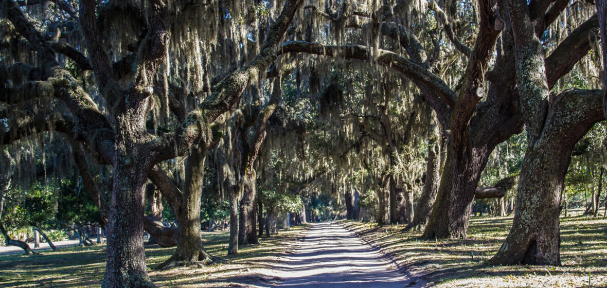 Photo of Cumberland Island