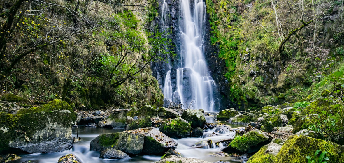 Photo of Cantal