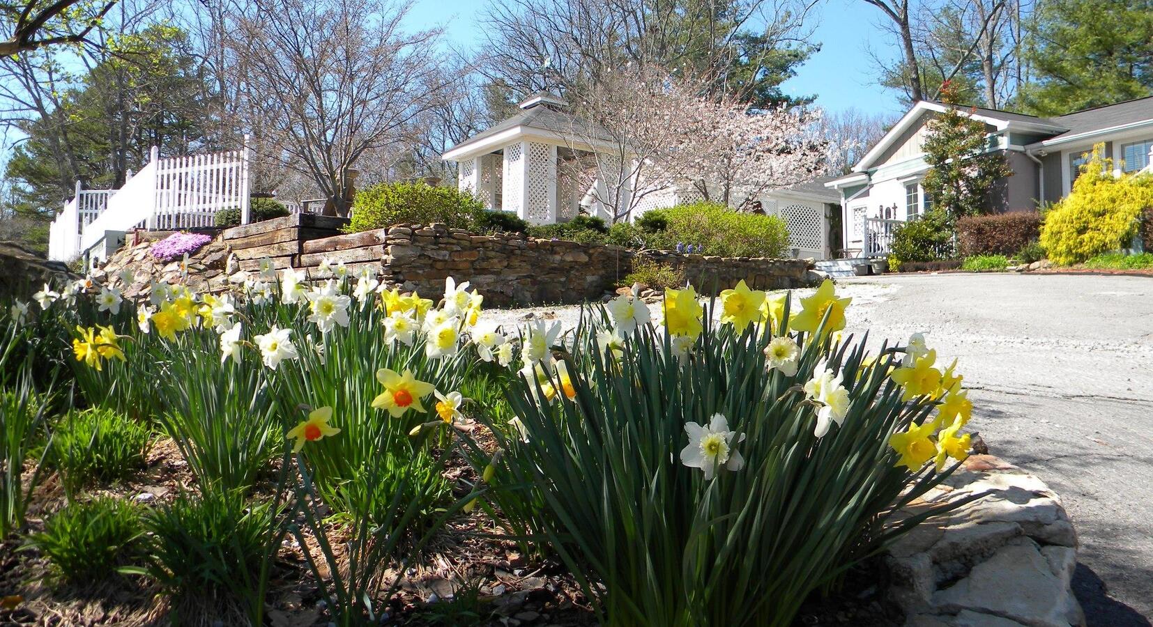 Quiet Cottages set in Idyllic Gardens