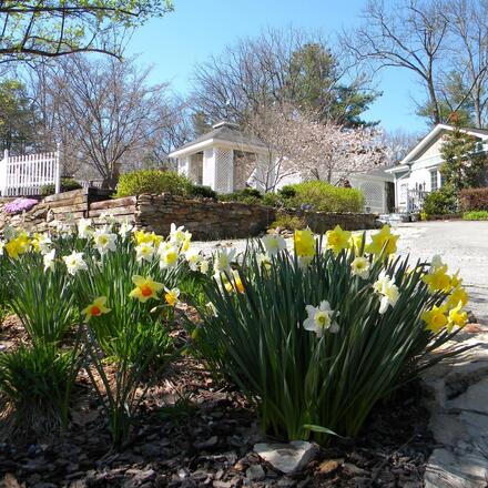 Quiet Cottages set in Idyllic Gardens