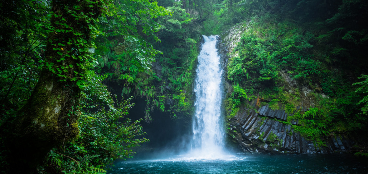 Photo of Izu  