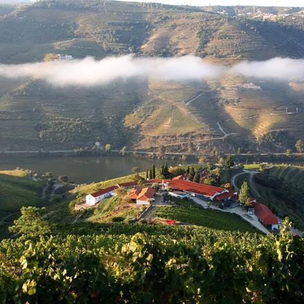 Spectacular Views of the Douro Valley