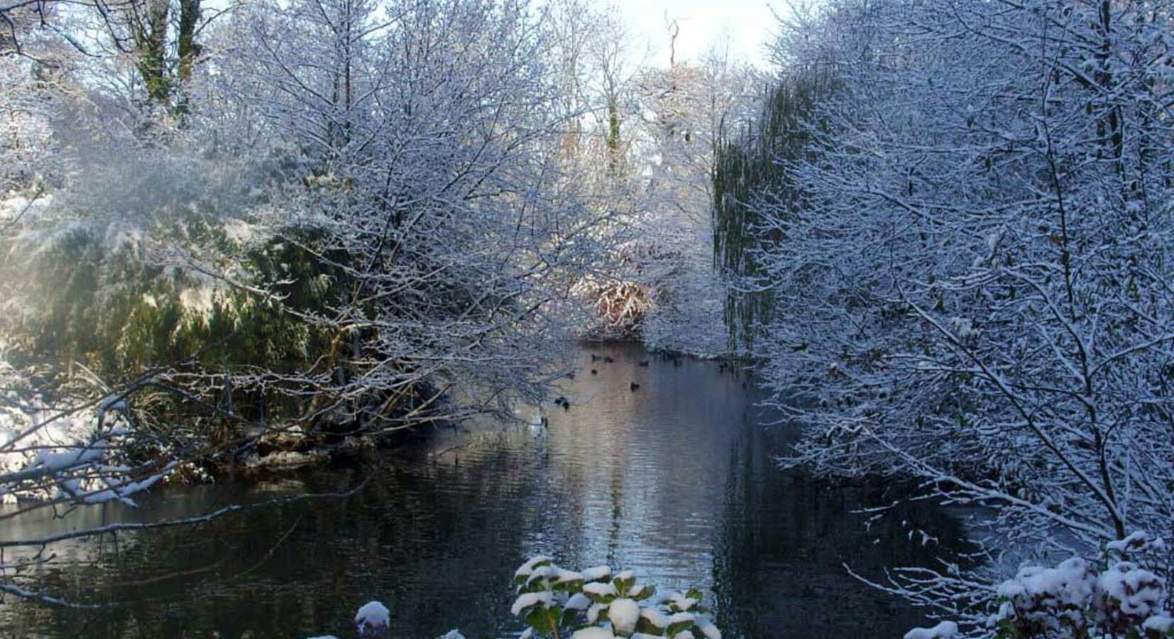 The Lake in winter