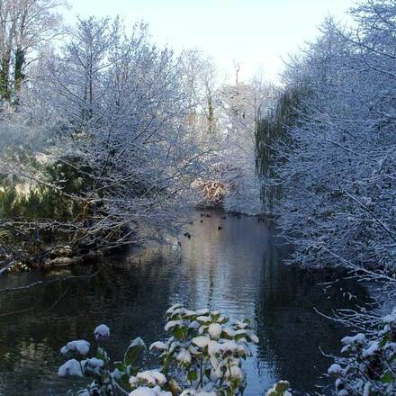 The Lake in winter