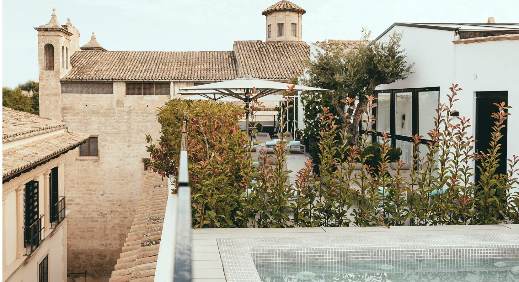 Roof Terrace and Pool