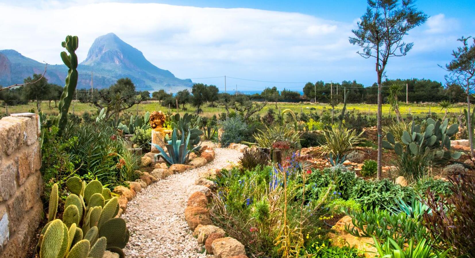 Hotel garden