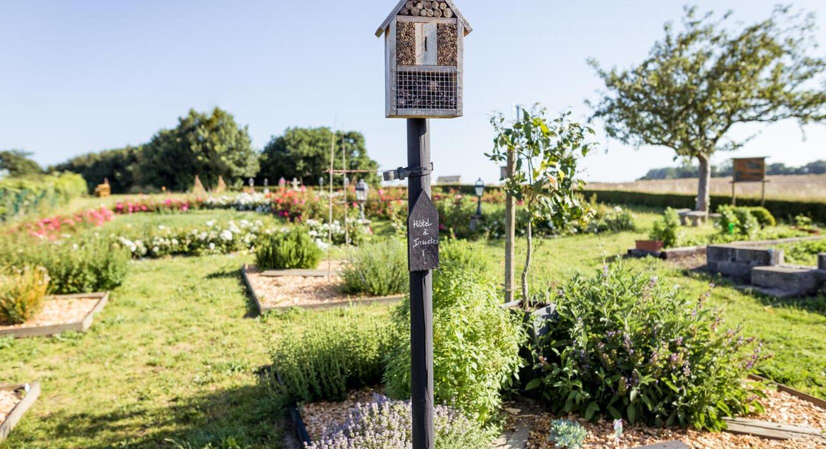 Kitchen Garden