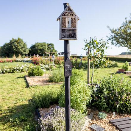 Kitchen Garden