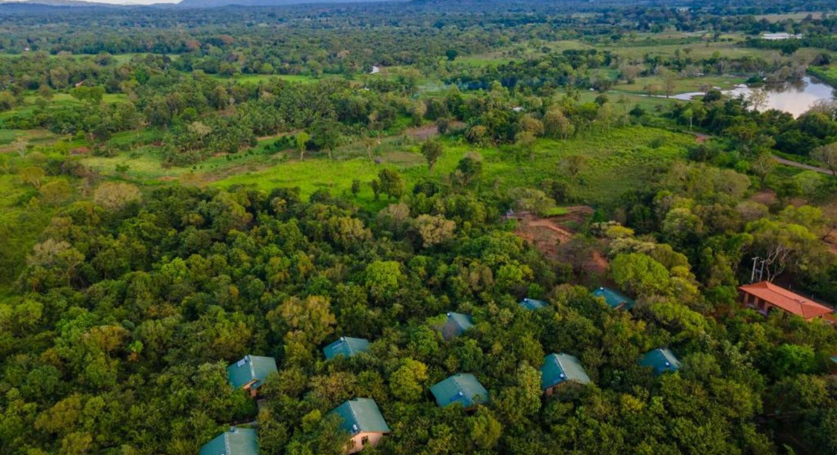 Foto von Sigiriya Forest Edge