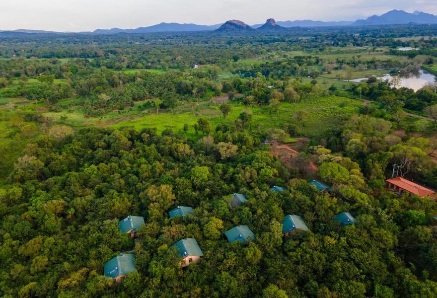 Sigiriya Forest Edge