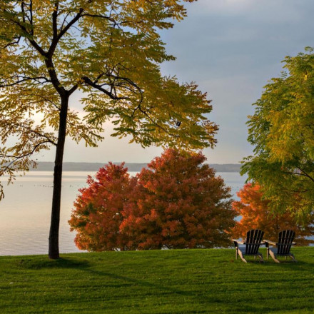 The 18 Best Hotels in the Finger Lakes