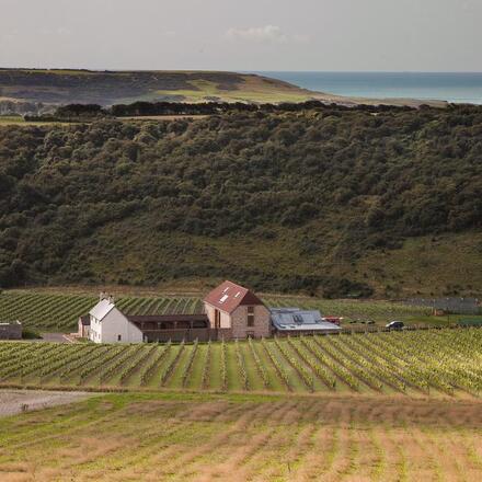 Flint Barns at Rathfinny Estate