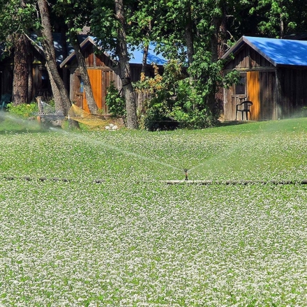 Cabins