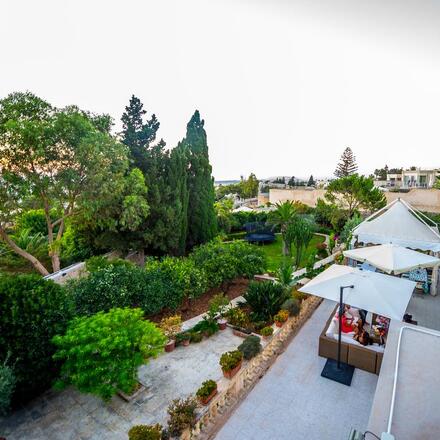 Terrace and Garden