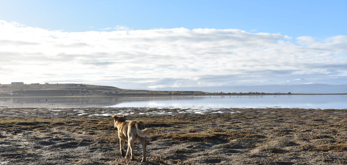 Photo of El Calafate