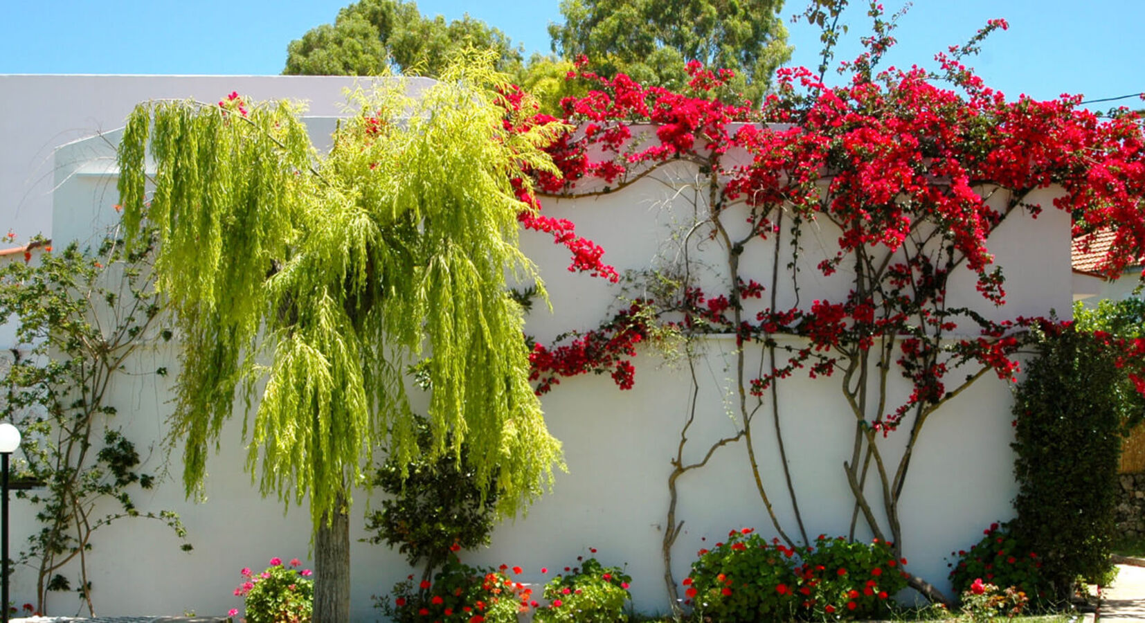 Hotel garden