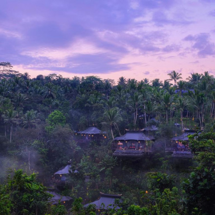 Les 11 meilleurs hôtels et centres de villégiature dans la jungle à Bali