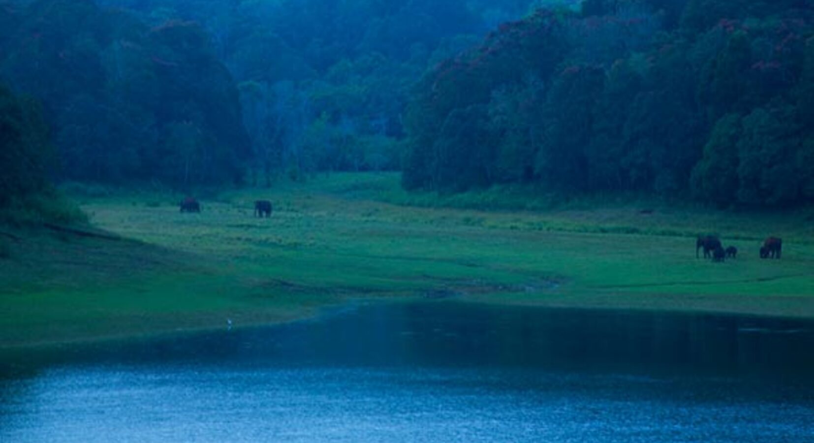 Lake Views