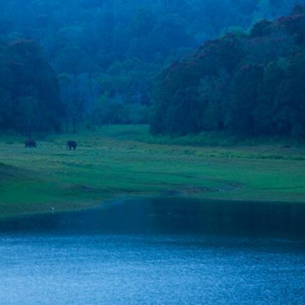 Lake Views