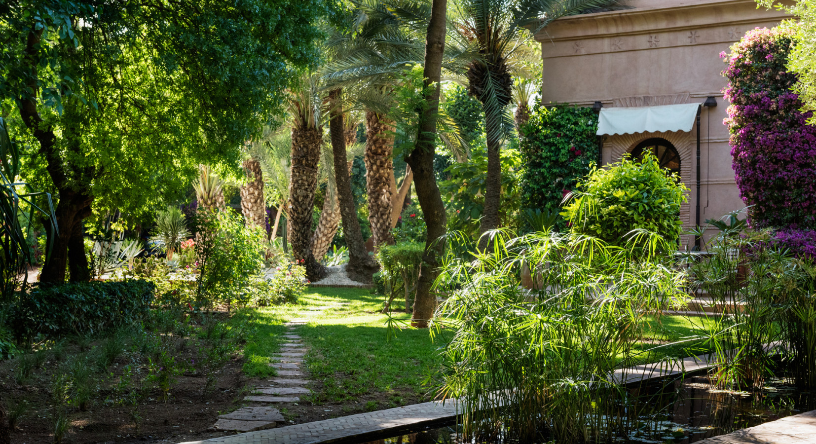 Lily Pond and Cactus Garden