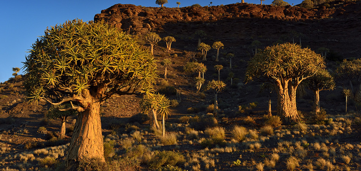 Photo of Northern Cape