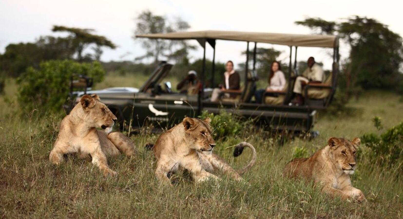 Game Drive