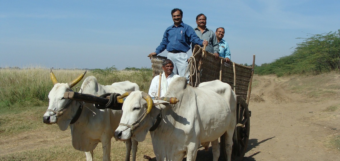 Photo of Karnataka