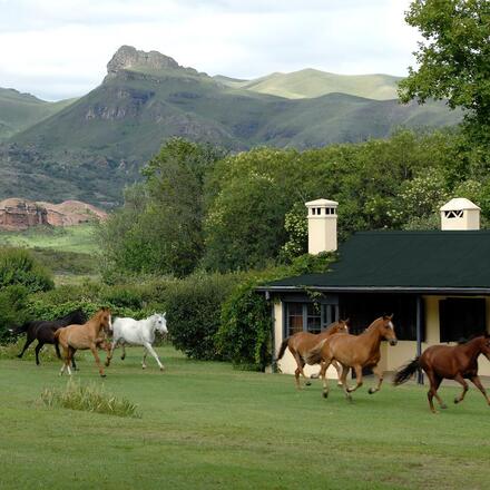 Lodge and horses