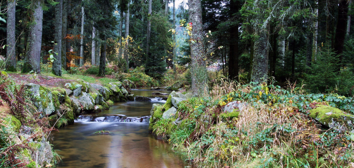 Photo de Gerardmer