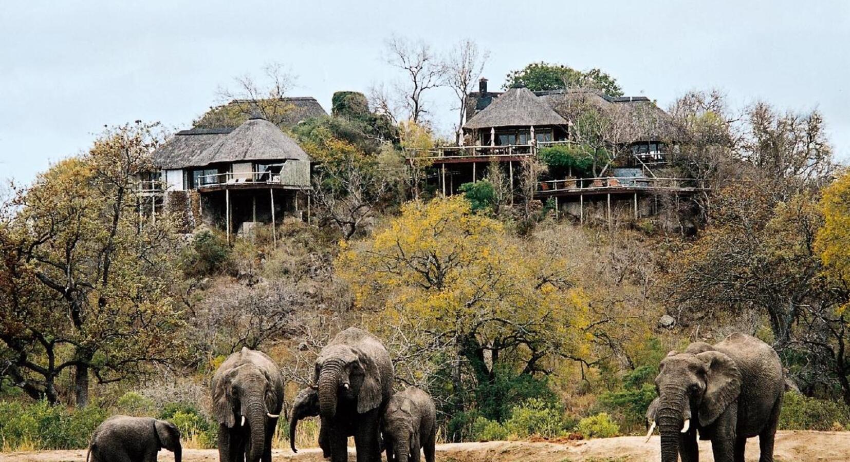 Photo of Leopard Hills Private Game Reserve