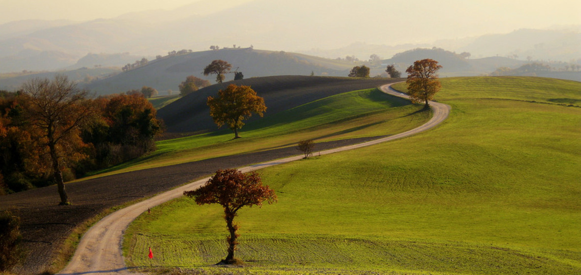 Photo of Le Marche