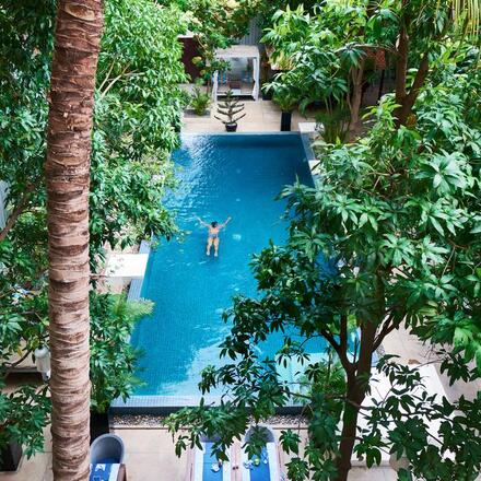 Garden and pool